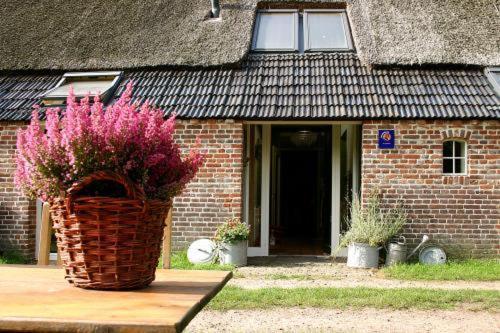 Bed And Breakfast Annen Exteriör bild